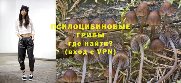 jwh Саяногорск