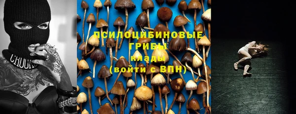 стафф Сатка